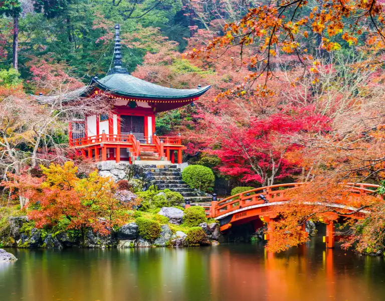 Why Japan in Autumn?