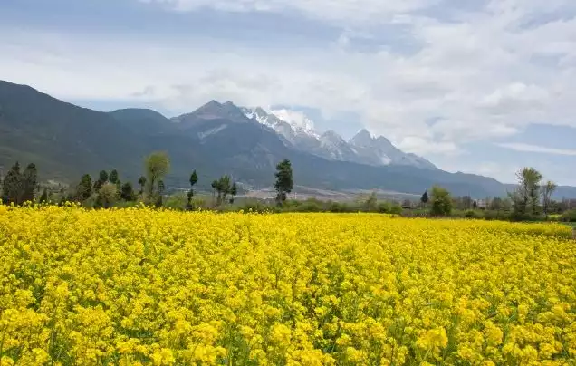 Day 10: Bullet Train to Kunming