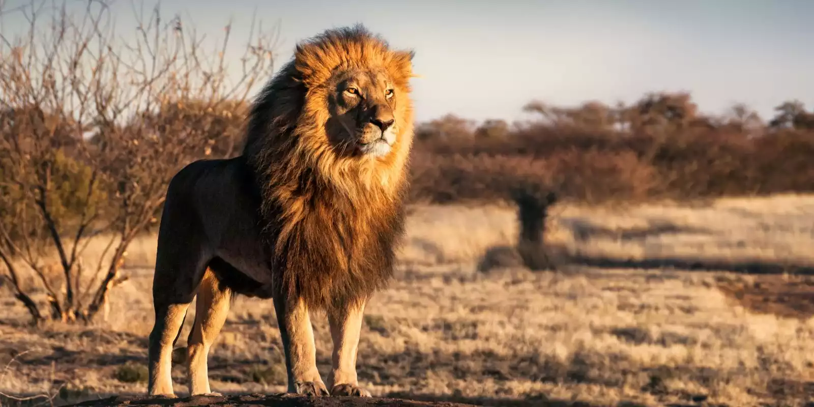 South Africa Holidays