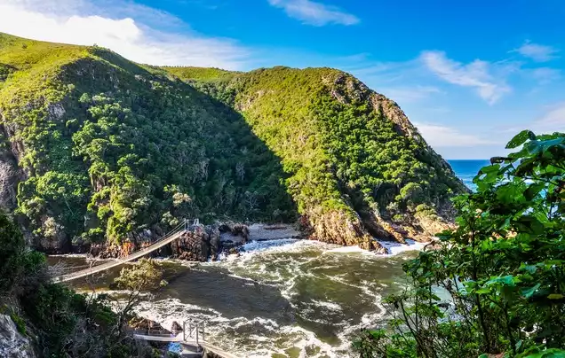 Day 8: Garden Route