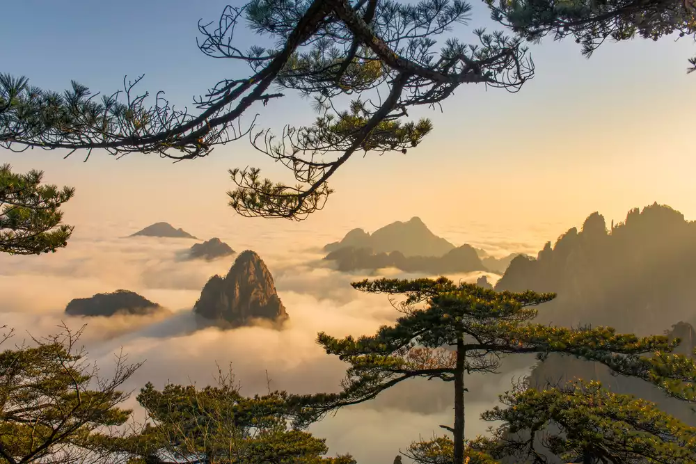 Top reasons to visit China in 2024-25