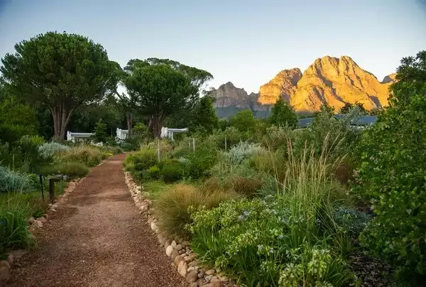 Day 13: Christmas Day in the Winelands