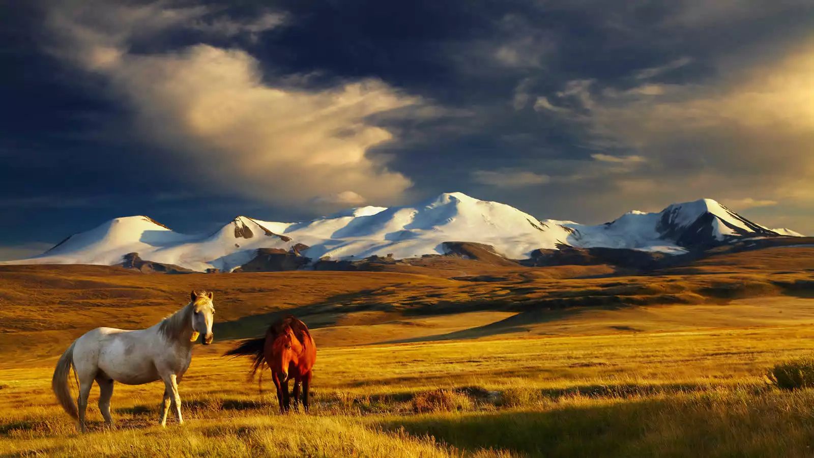 Mongolia Holidays