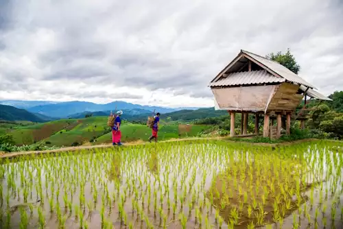 Special Festive Experiences on Christmas in Vietnam