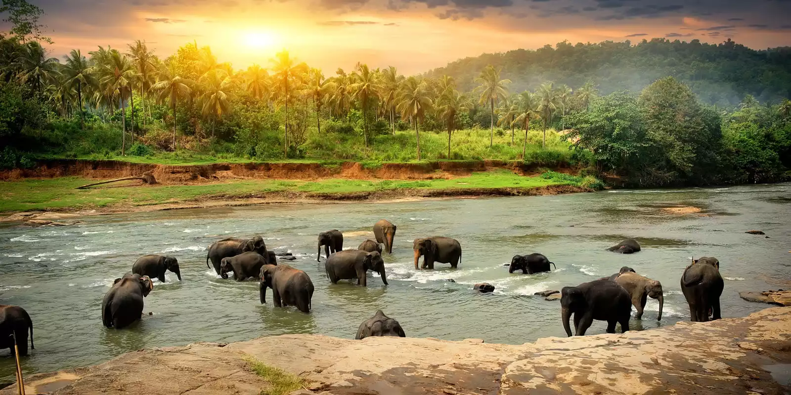 Sri Lanka Holidays