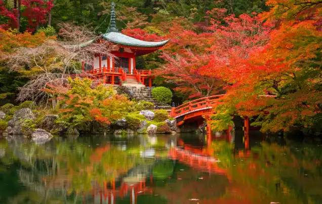 Day 11: Cruise – Osaka (Kyoto)