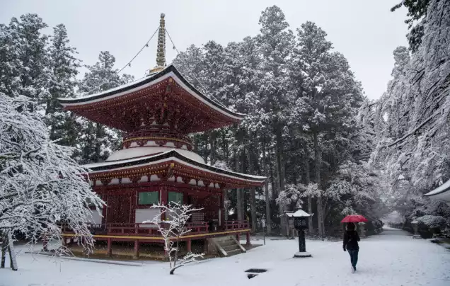 Day 14: Koyasan