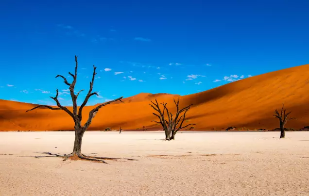 Day 4: Sossusvlei Region