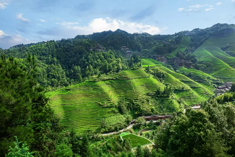 <p>
	Admire the cascading beauty of Longji Rice Terraces, where the fields stretch like a dragon&#39;s spine across the rolling hills.</p>
