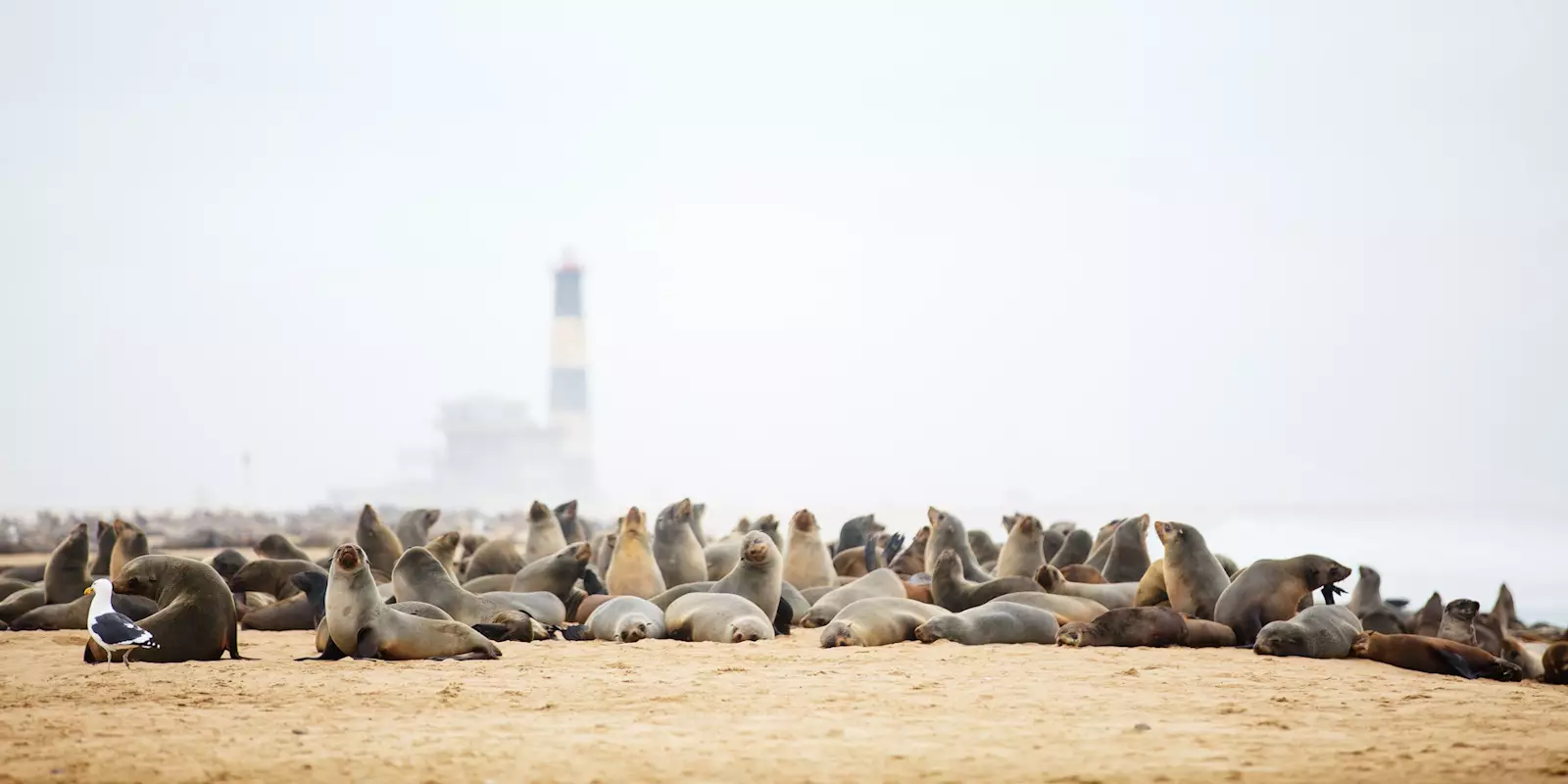 Walvis Bay Holidays