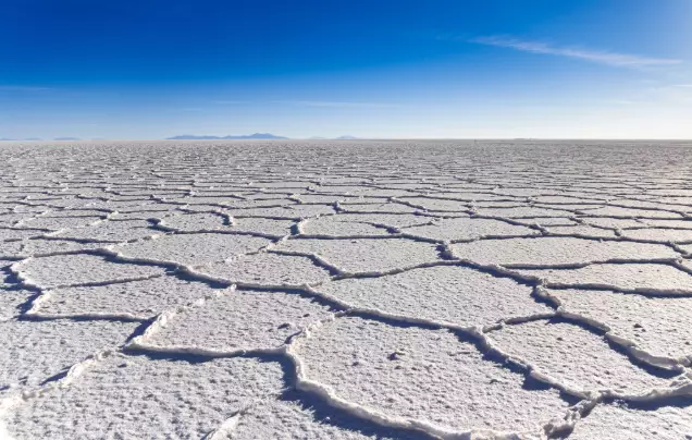 Day 11: Meet the Mummies