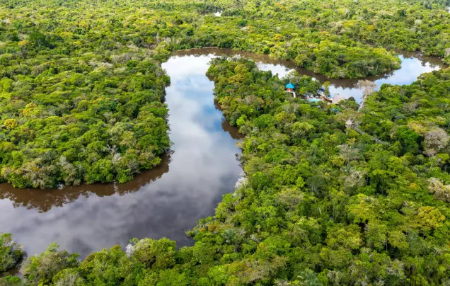 Day 8: Into the Amazon