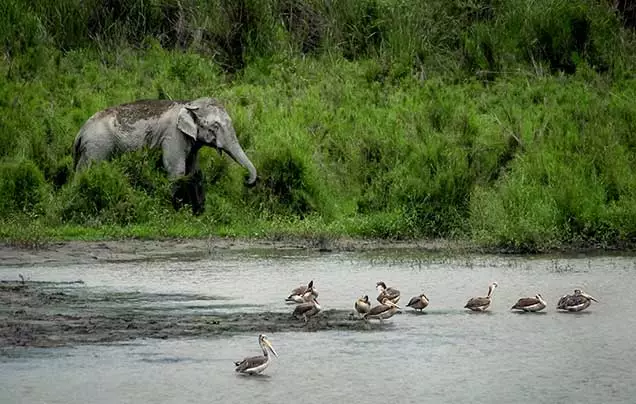 Day 13: Biswanath Village