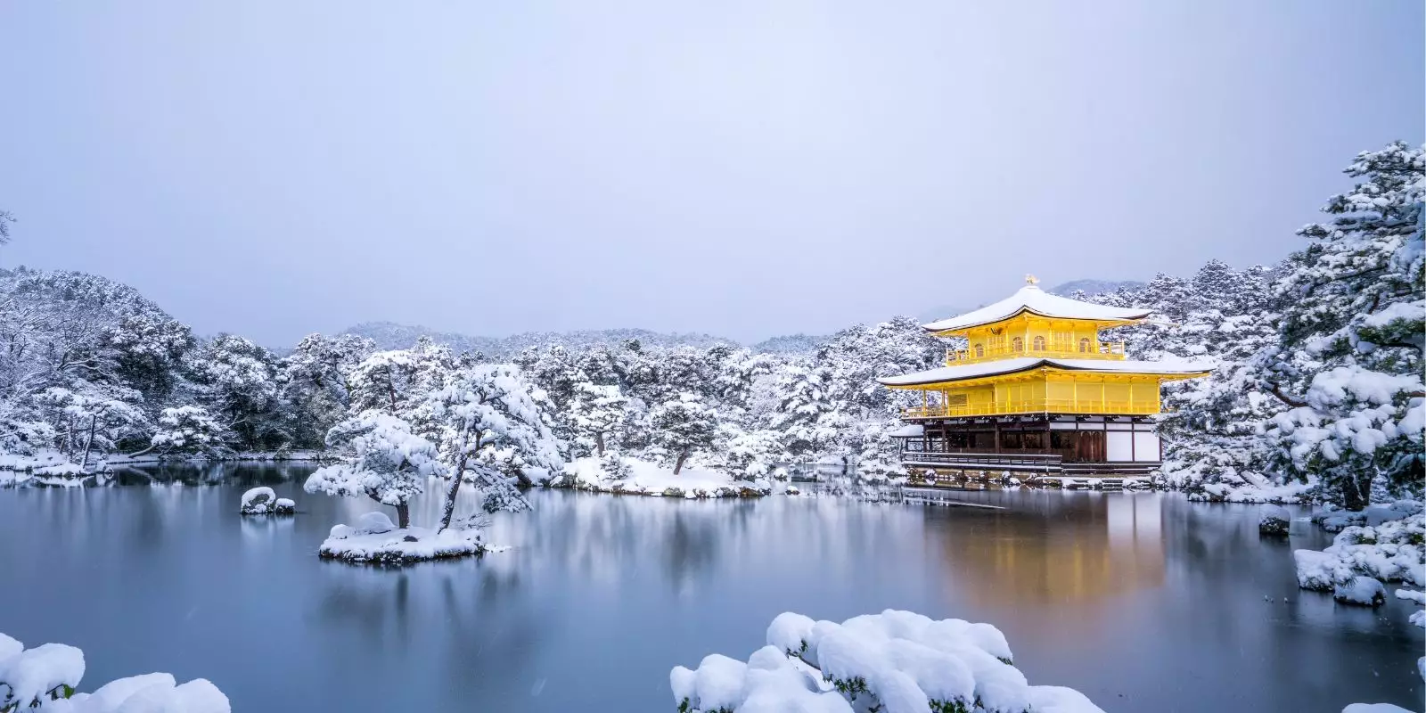 Christmas Collection Offer