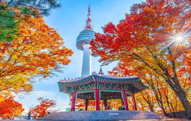 Day 21: Explore Seoul