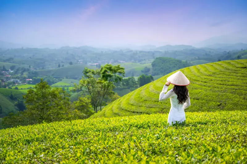 Travelling Solo? Enjoy 50% off your airfare