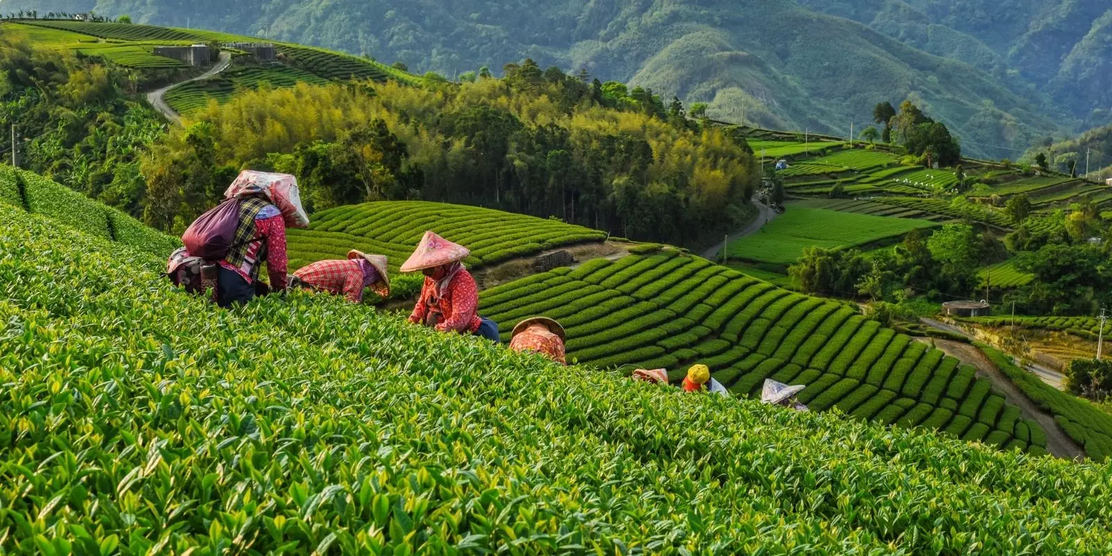 Taiwan