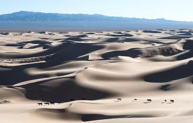 Day 6: Through the Gobi