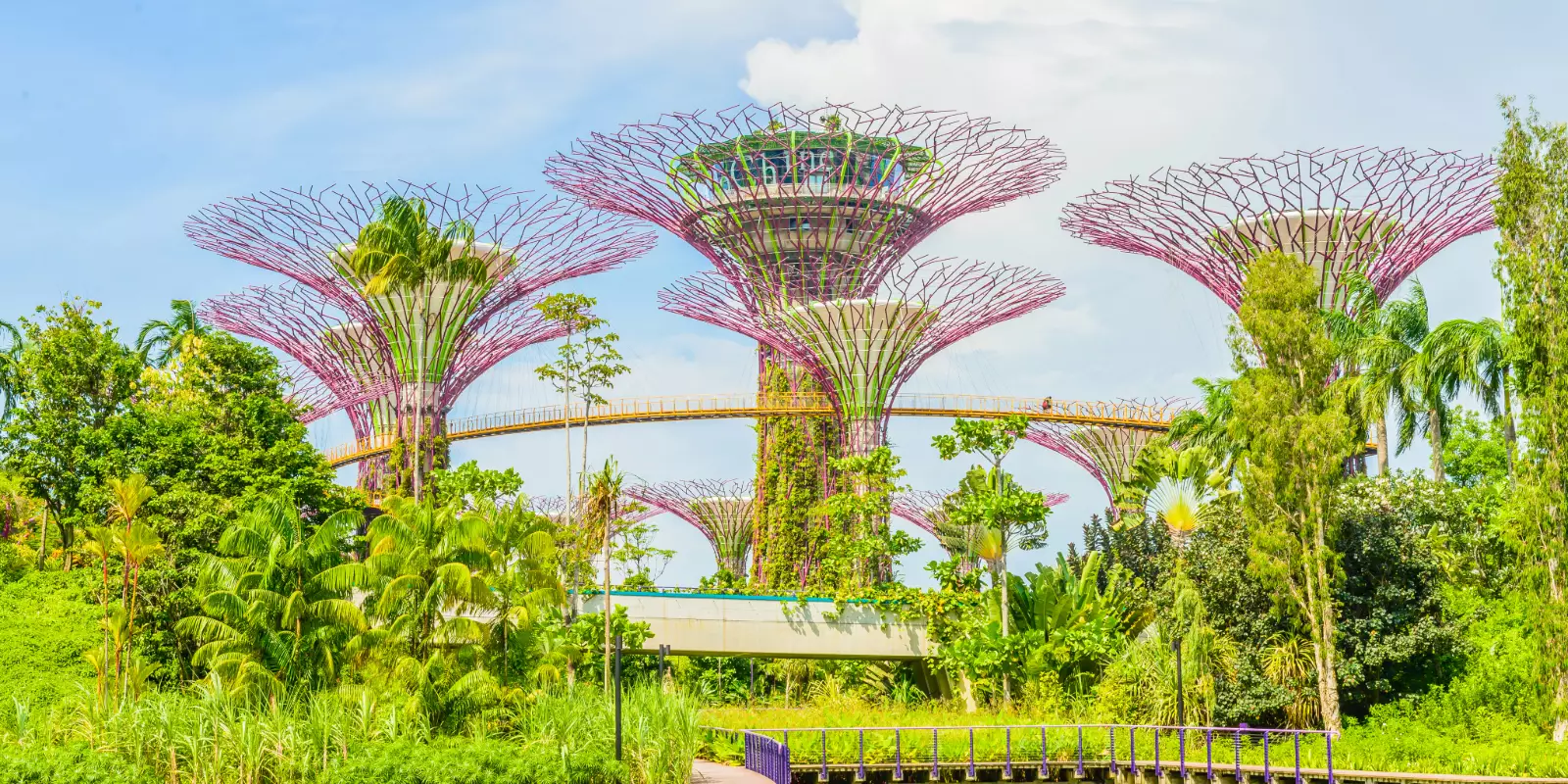 Singapore Stopover