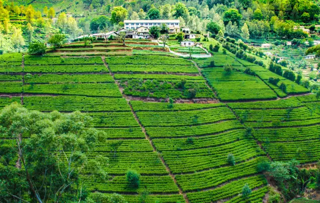 Day 14: Explore Ella