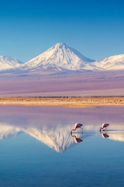 Chile: Top to Toe