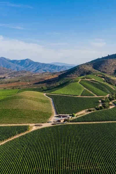 Wines & Wonders of South America 