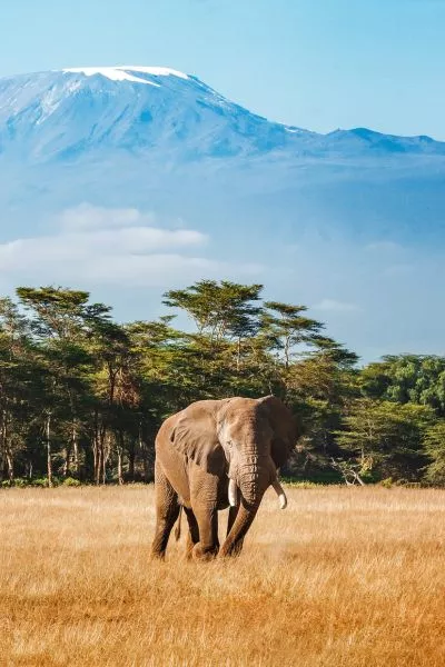 Treasures of Kenya & Tanzania