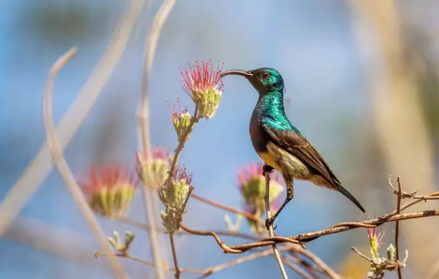 Day 13: Meva Workshop