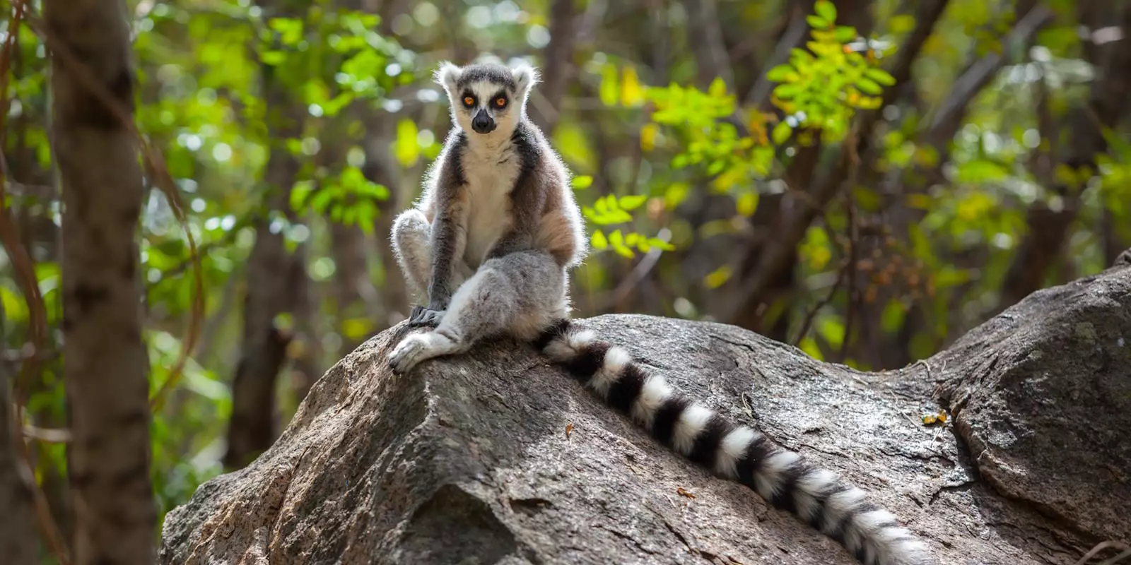 Madagascar Holidays