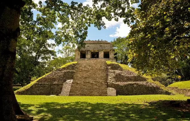 Day 17: Discover Palenque
