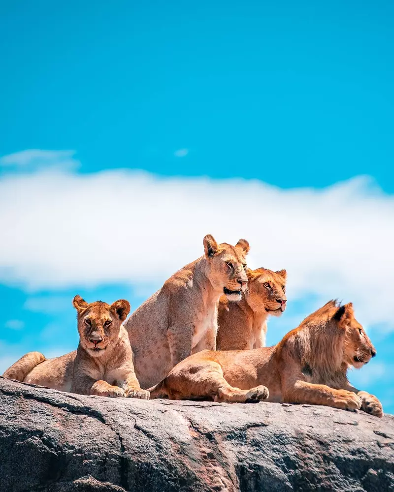 Big Five Basics