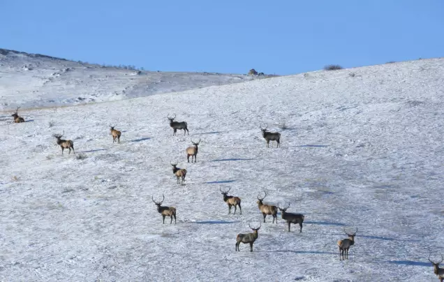 Day 6: Depart Ulaanbaatar