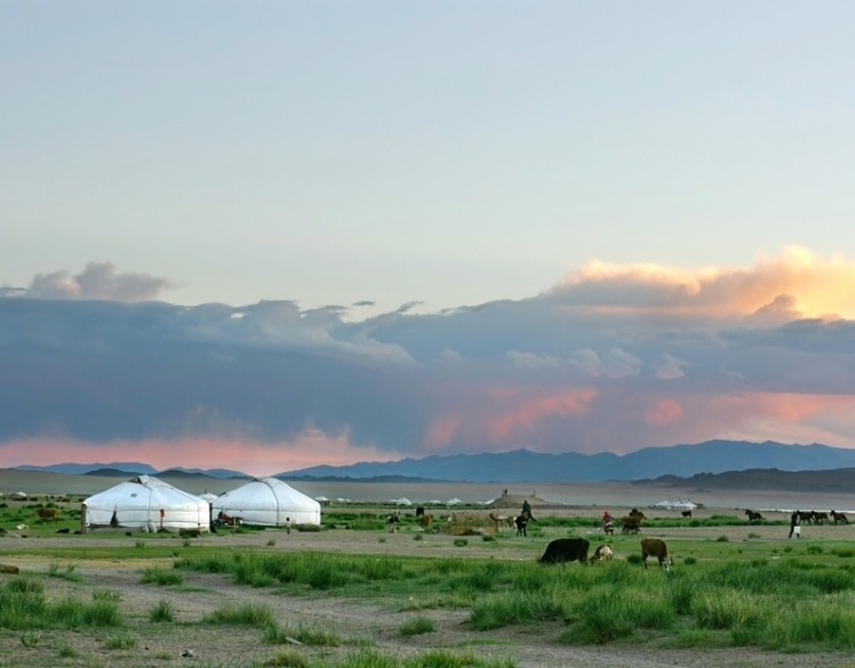 Heart of Mongolia