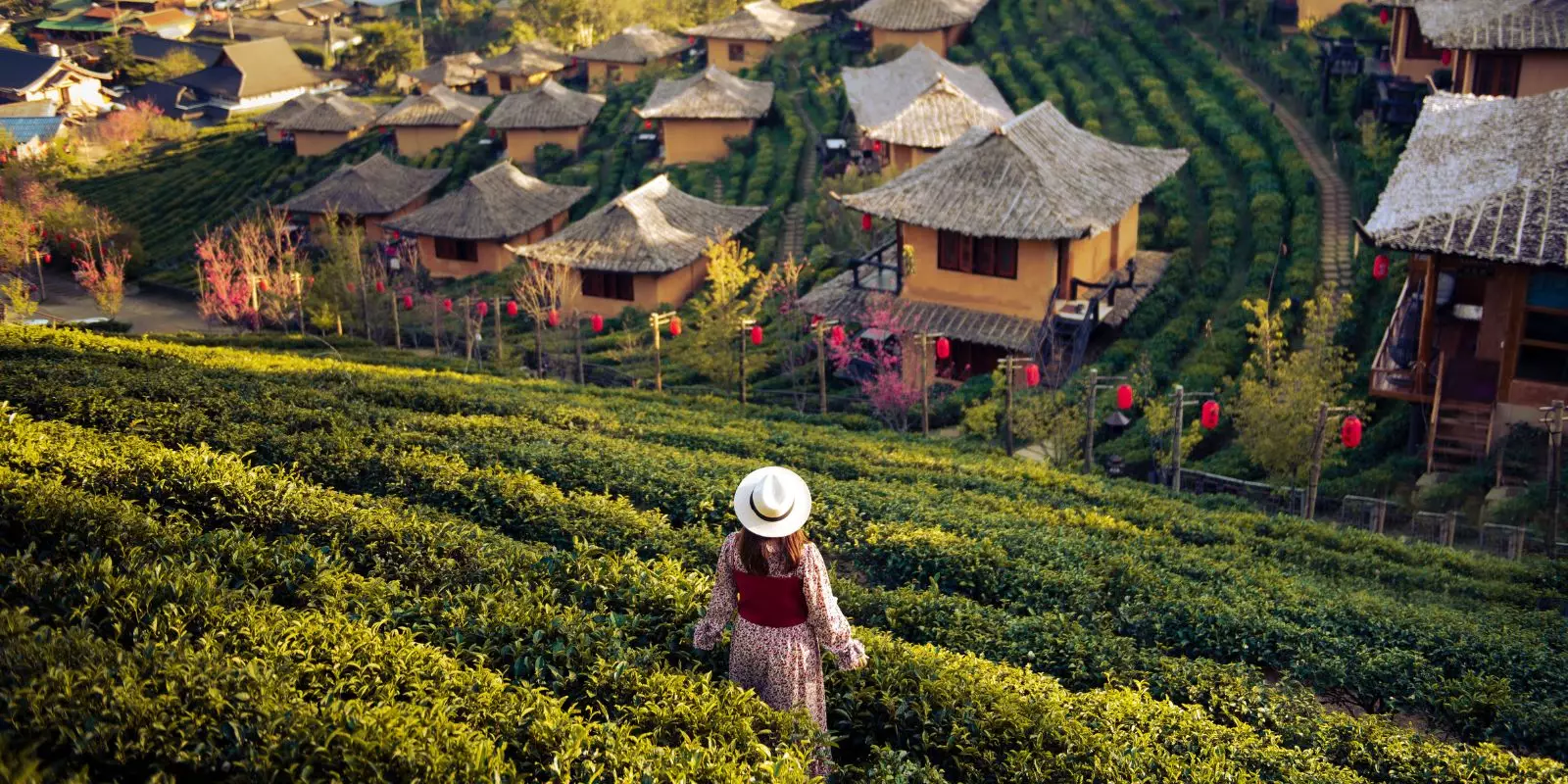 Our Biggest Ever Solos Sale