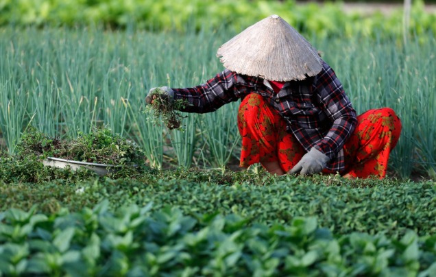 Day 13 Tra Que Village