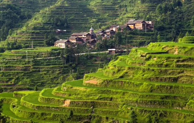 Day 15: Rice Terraces & Batik Making