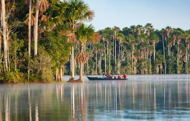 Day 4: Discover Tambopata