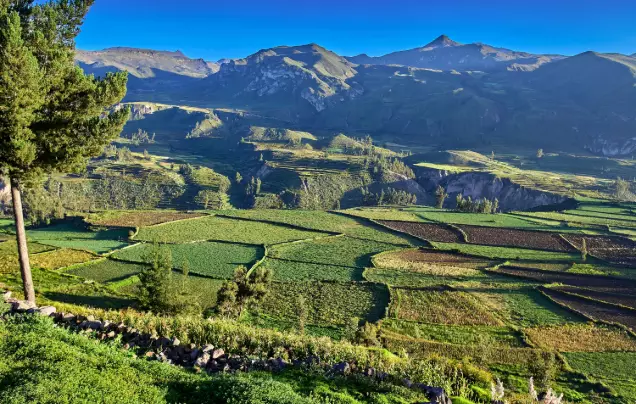 Day 4: Journey to Colca Canyon