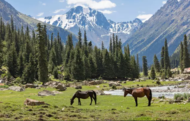 Day 8: Barskoon Gorge & Skazka Canyon