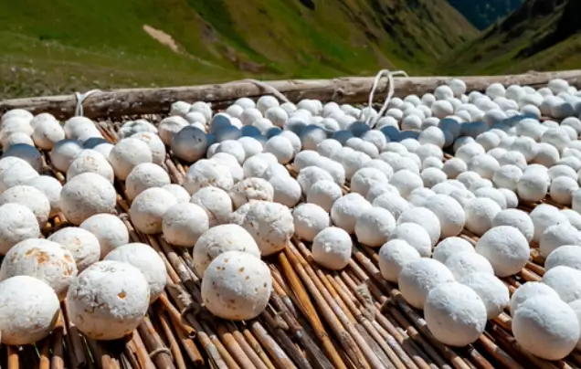 Day 5: Journey to Karakol