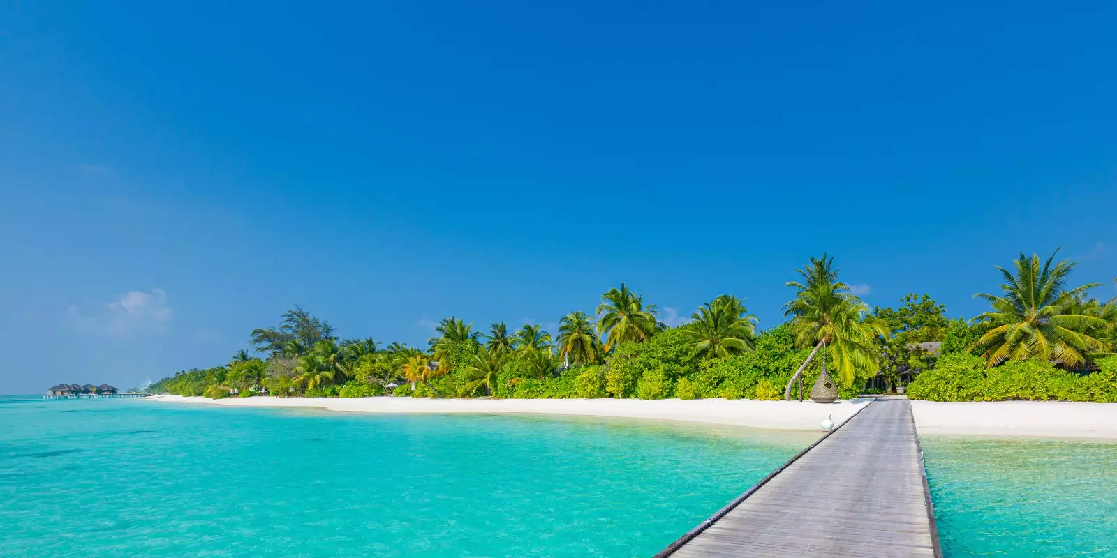 Tour & Beach Collection