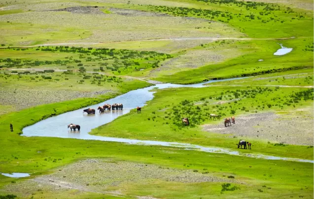 Day 19: Return to Ulaanbaatar