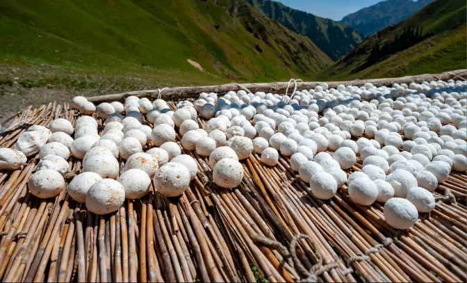 Day 15: Journey to Karakol