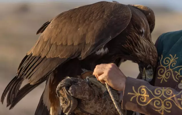 Day 19: Meet an Eagle Hunter