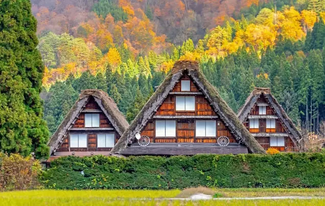 Day 6: Takayama Morning Markets