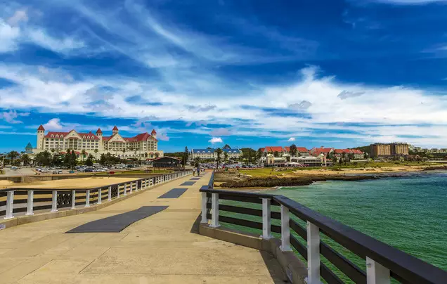 Day 14: Cruise – Port Elizabeth