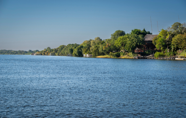 Day 1: Transfer to Chobe