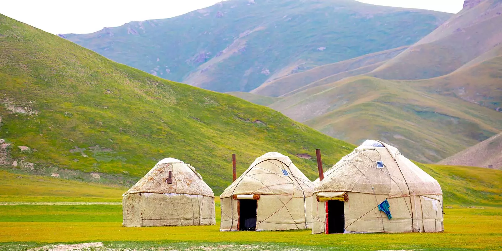 Follow the Race - Find the Real