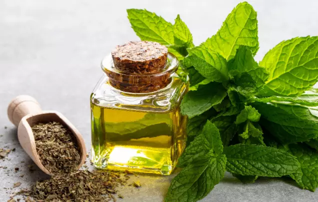 Day 11: Abashiri - Kitami - Sounkyo