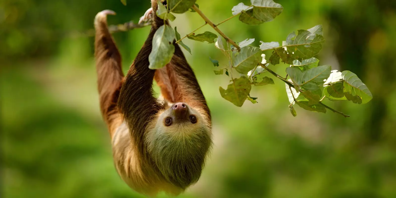 Costa Rica Tour & Beach Holidays